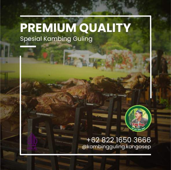 Domba Guling,Garut,Domba Guling Garut,Kambing Guling Garut,