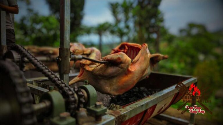 Domba Guling,Kambing Guling,