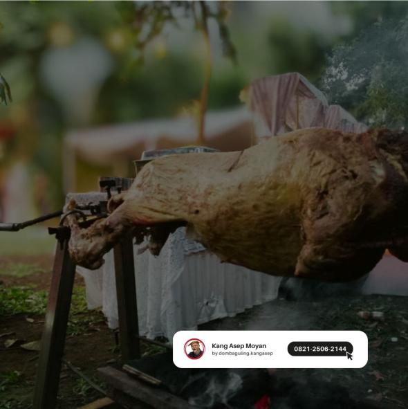 Kambing Guling Garut Premium kambing guling garut