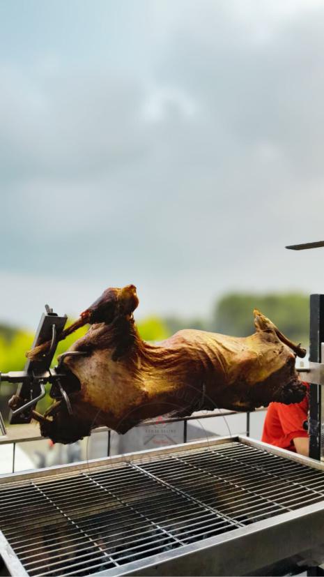 kambing guling mobile