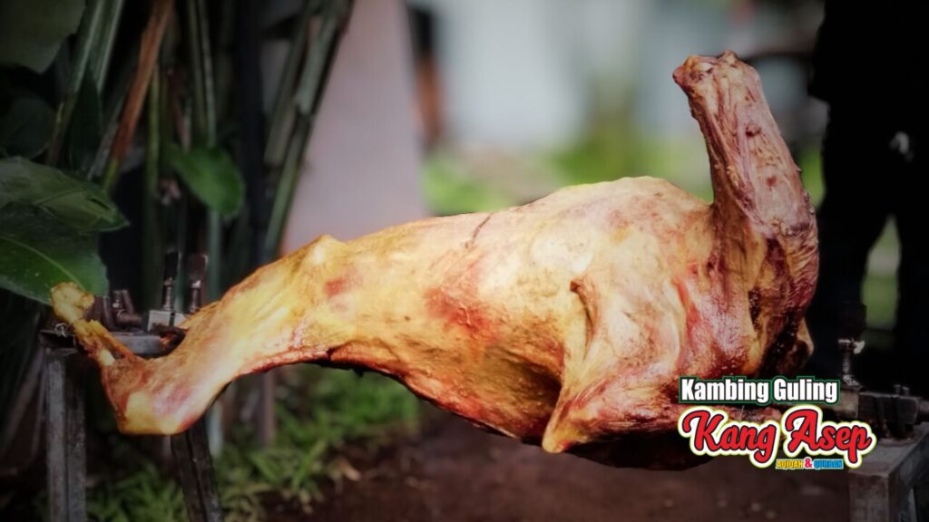 kambing guling garut 3